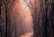 股票分析交流群:股票線上配資平臺(tái)-債務(wù)水平仍是困擾！惠譽(yù)維持對(duì)美國(guó)“AA+”信用評(píng)級(jí)